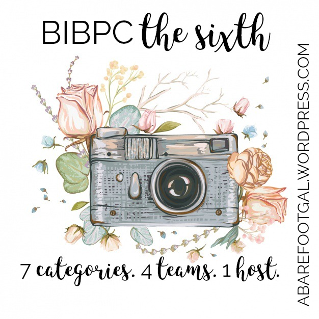 bibpc the sixth poster by mirra